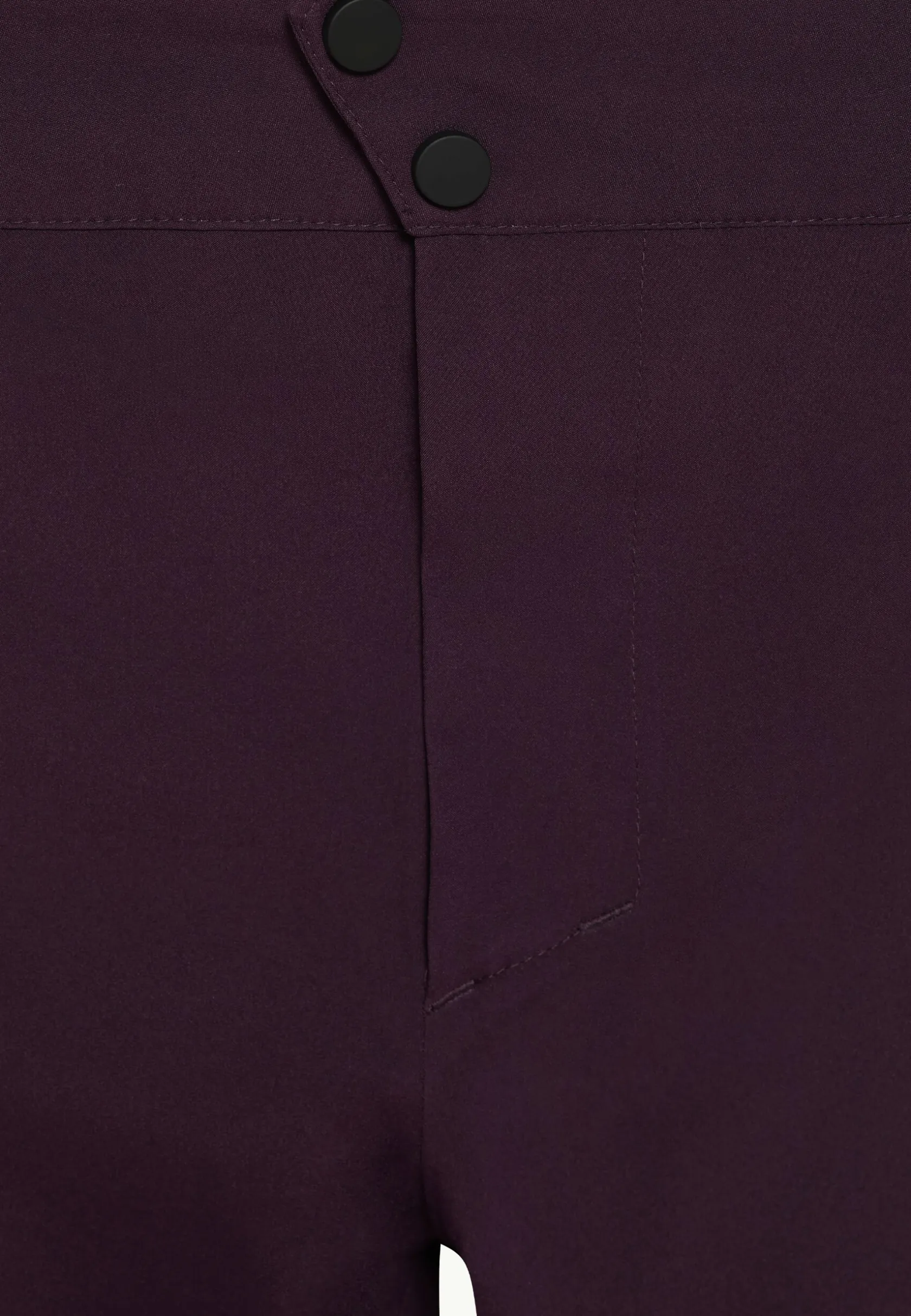 Ski|Regenbroek|Jack Wolfskin Alpspitze Tour 3l Pants M midnight plum