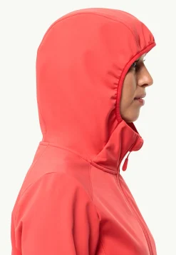 Lifestyle|Wandelen|Jack Wolfskin Bornberg Hoody W