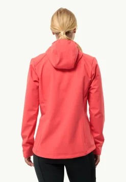 Lifestyle|Wandelen|Jack Wolfskin Bornberg Hoody W