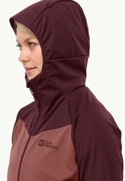 Wandelen|Voor- En Najaarsjacks/-Jassen|Jack Wolfskin Brisstal Hoody W