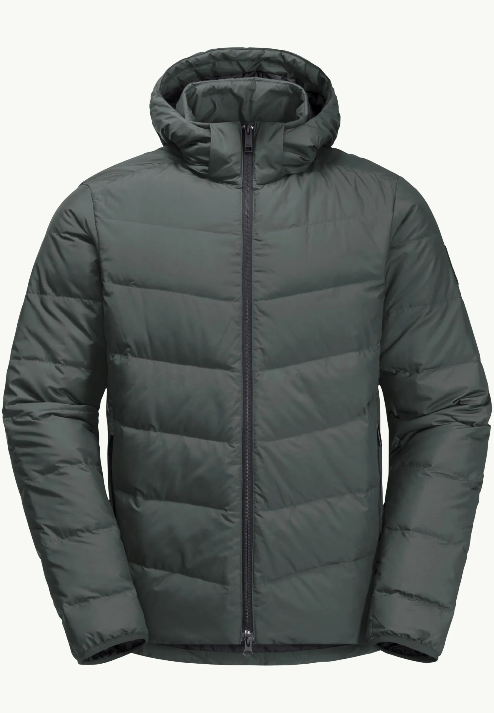 Lifestyle|Voor- En Najaarsjacks/-Jassen|Jack Wolfskin Colonius Jkt M Rds
