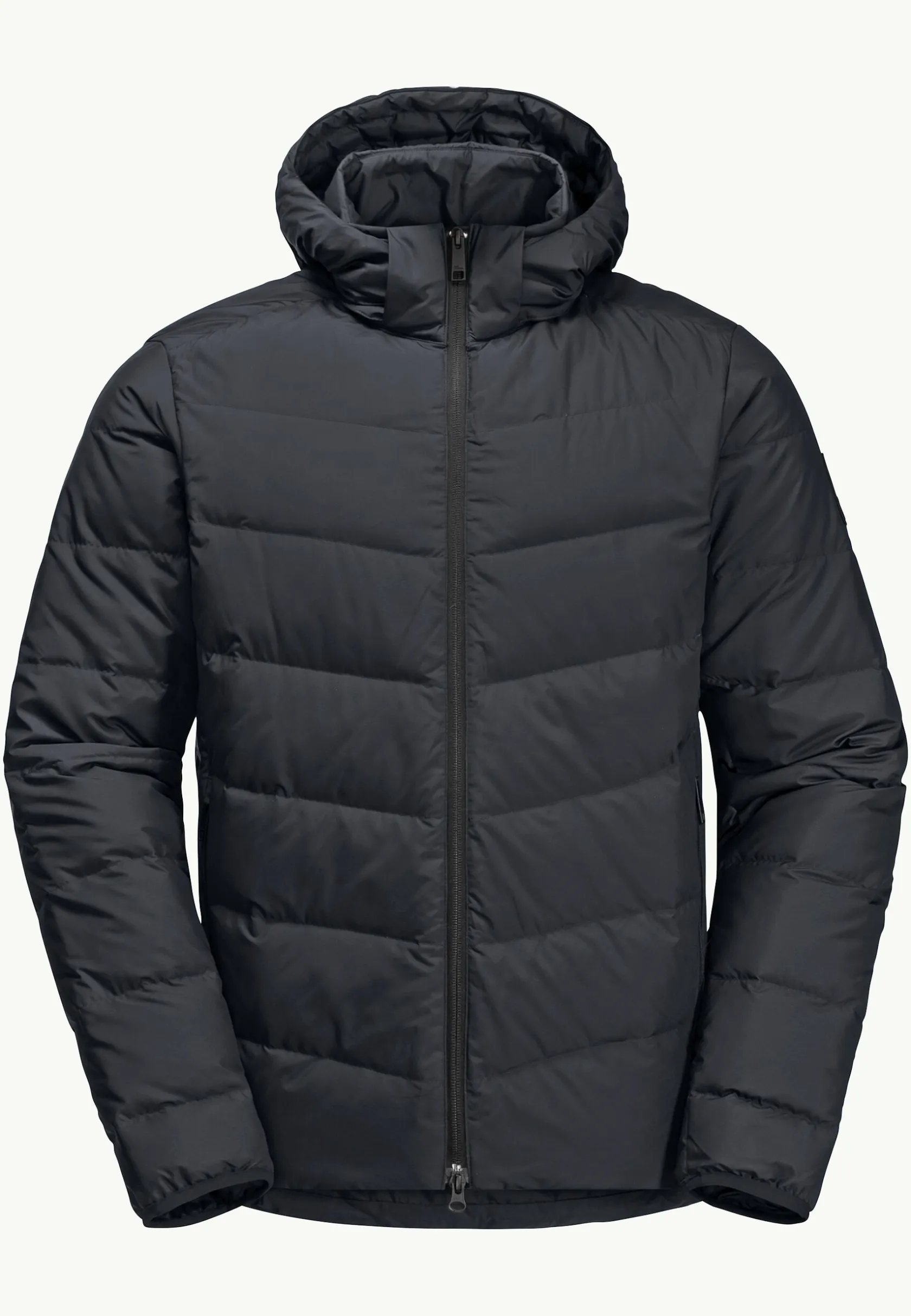 Lifestyle|Voor- En Najaarsjacks/-Jassen|Jack Wolfskin Colonius Jkt M Rds