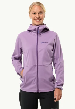 Wandelen|Voor- En Najaarsjacks/-Jassen|Jack Wolfskin Feldberg Hoody W