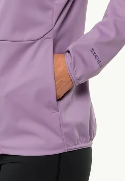 Wandelen|Voor- En Najaarsjacks/-Jassen|Jack Wolfskin Feldberg Hoody W
