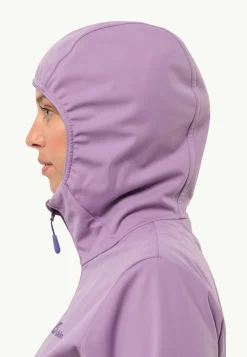 Wandelen|Voor- En Najaarsjacks/-Jassen|Jack Wolfskin Feldberg Hoody W