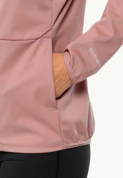 Wandelen|Voor- En Najaarsjacks/-Jassen|Jack Wolfskin Feldberg Hoody W