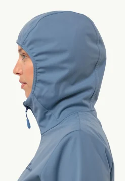 Wandelen|Voor- En Najaarsjacks/-Jassen|Jack Wolfskin Feldberg Hoody W