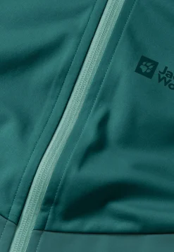 Wandelen|Voor- En Najaarsjacks/-Jassen|Jack Wolfskin Go Hike Softshell W