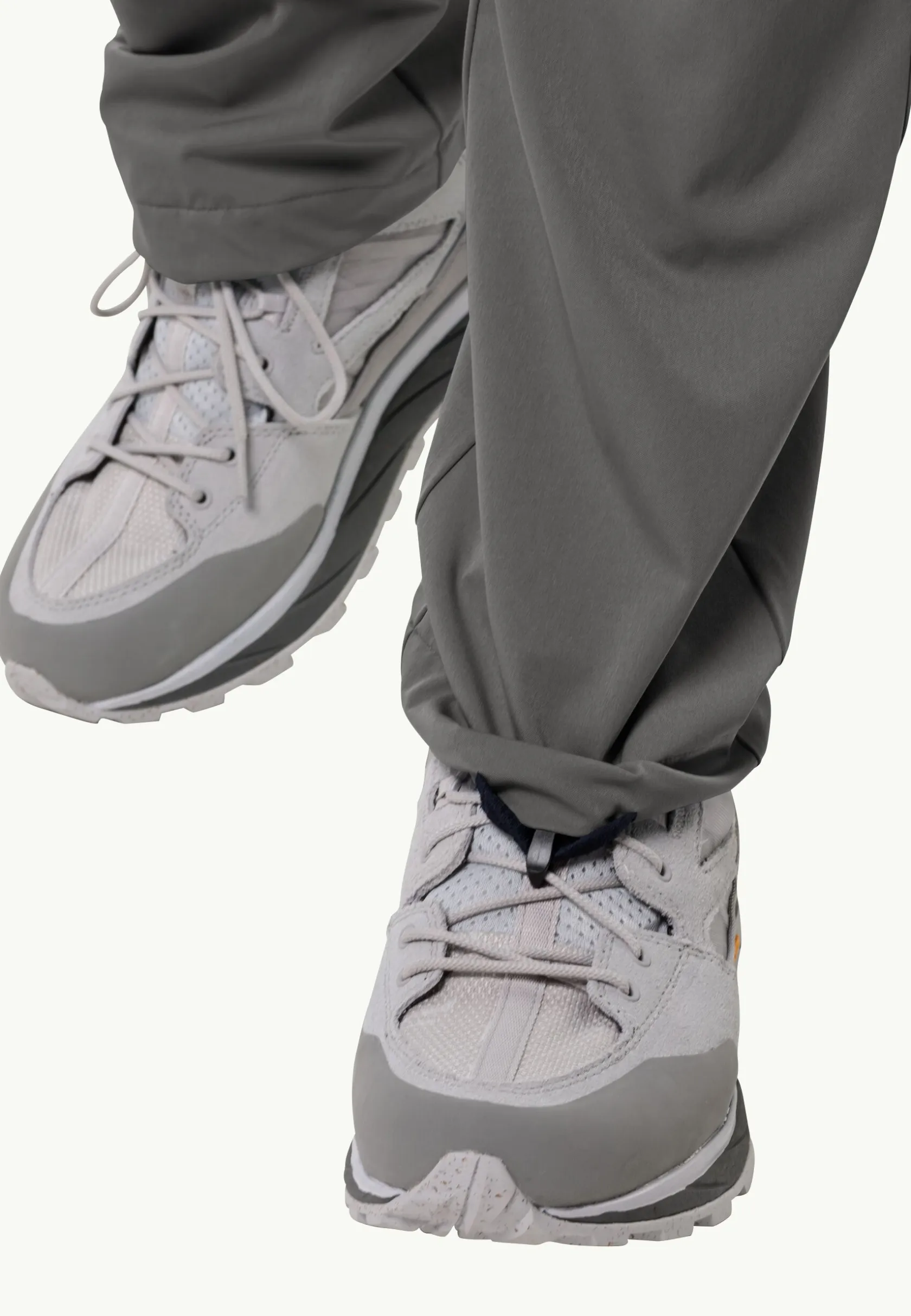 Wandelen|Softshellbroeken|Jack Wolfskin Hiking Alpine Pants M
