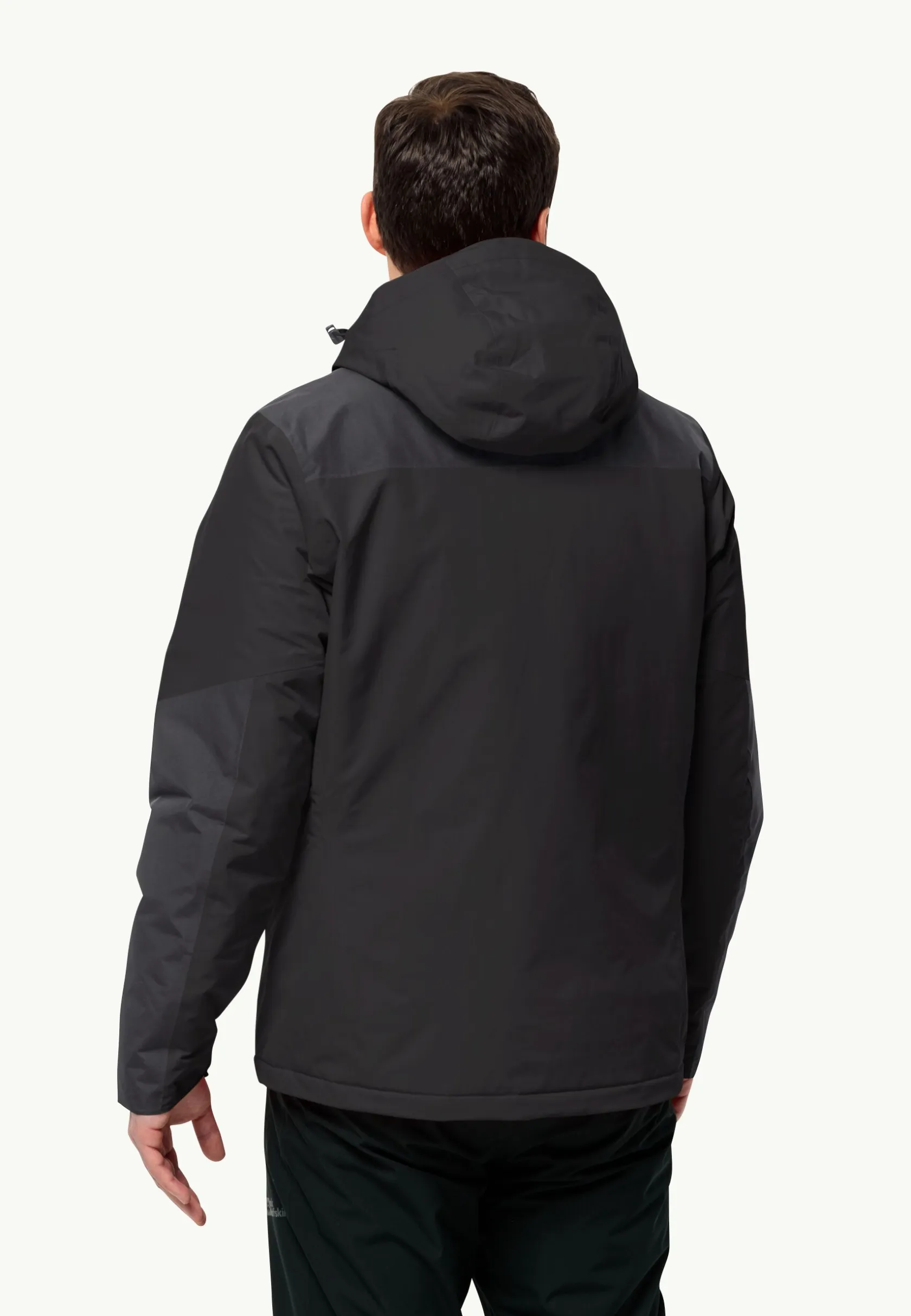 Wandelen|Voor- En Najaarsjacks/-Jassen|Jack Wolfskin Jasper Ins Jkt M