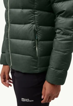 Isolatiejacks|Winterjacks|Jack Wolfskin Nebelhorn Down Hoody W Rds