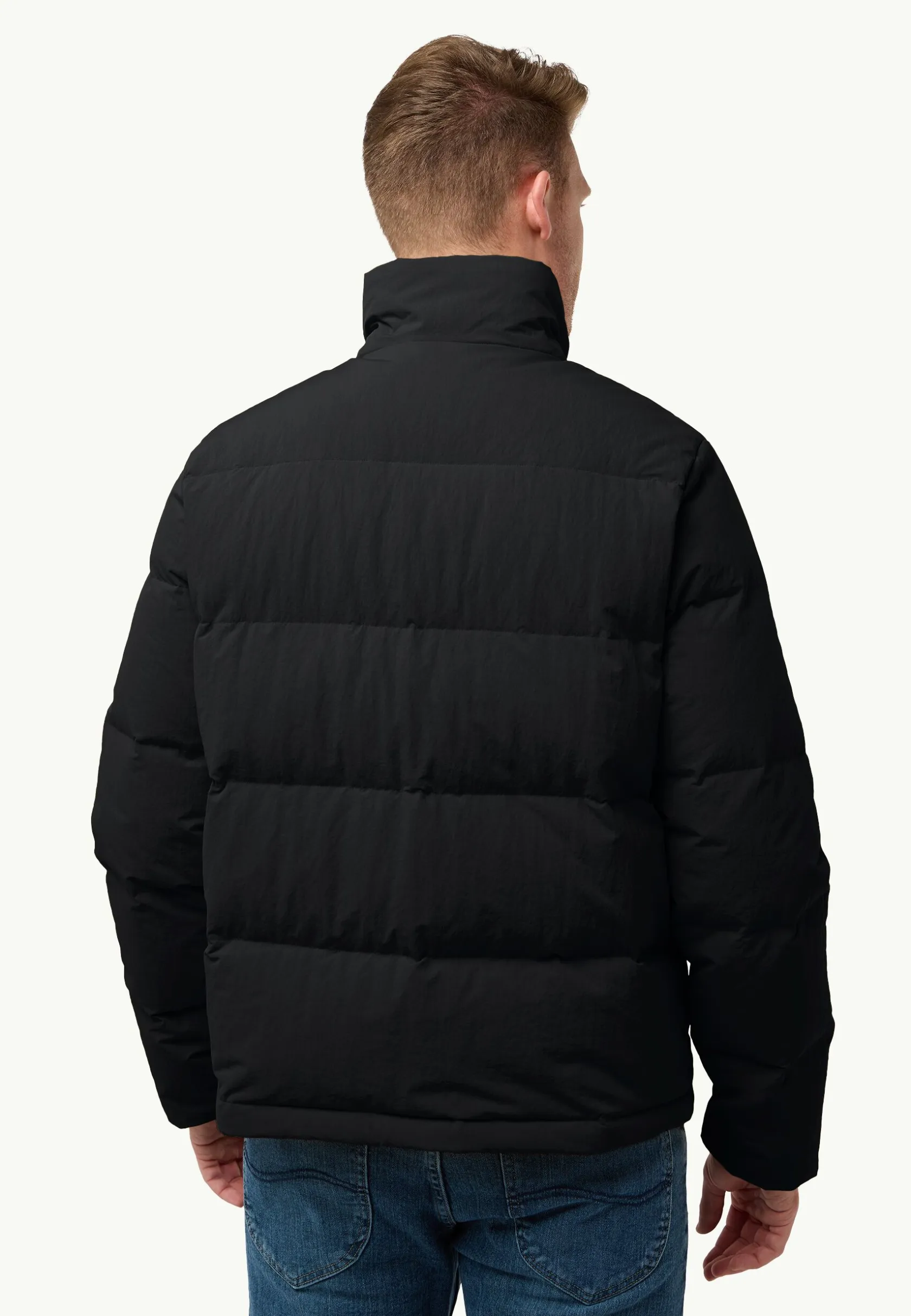 Voor- En Najaarsjacks/-Jassen|Winterjacks|Jack Wolfskin Nordlicht Jkt M Rds