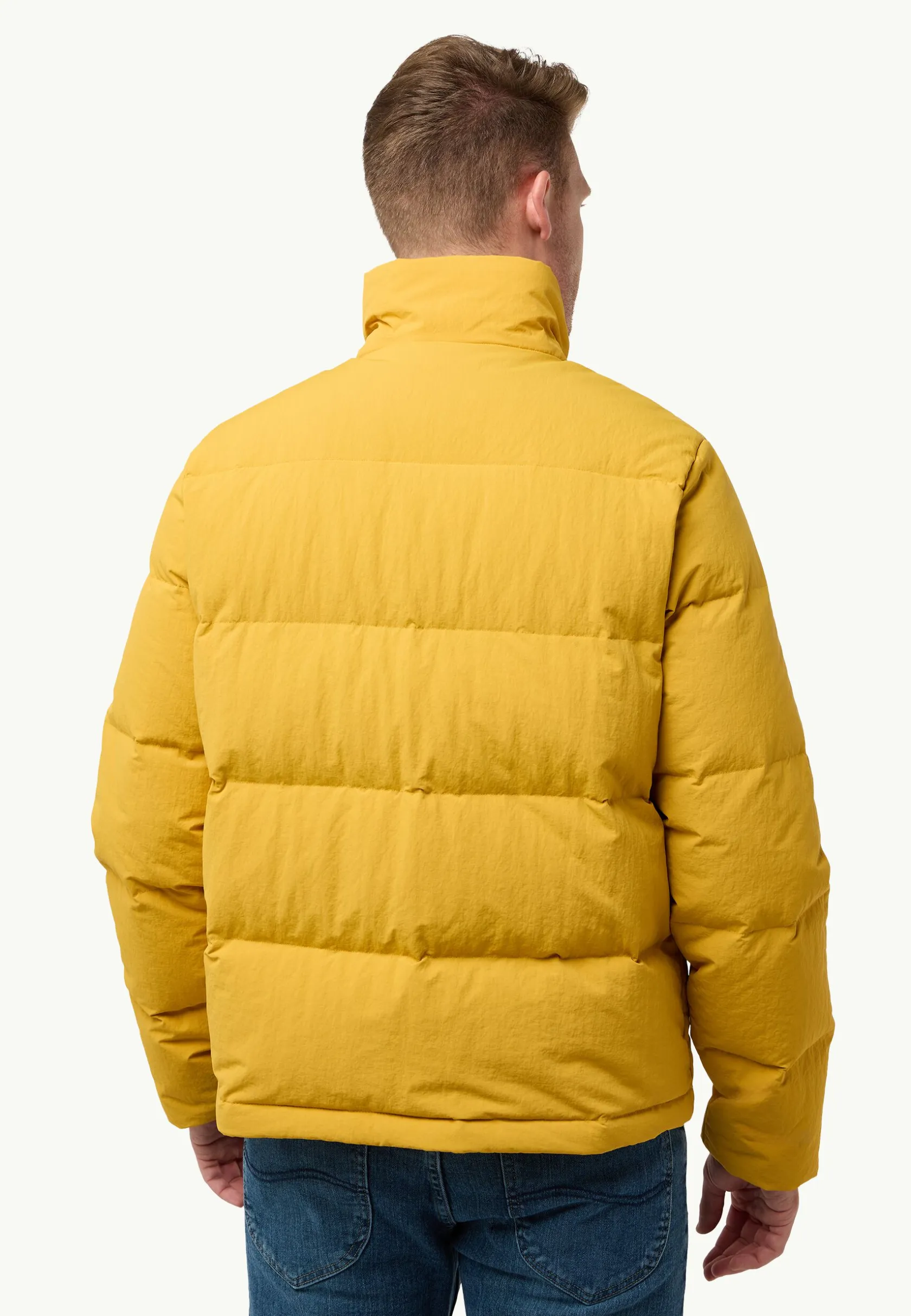 Voor- En Najaarsjacks/-Jassen|Winterjacks|Jack Wolfskin Nordlicht Jkt M Rds