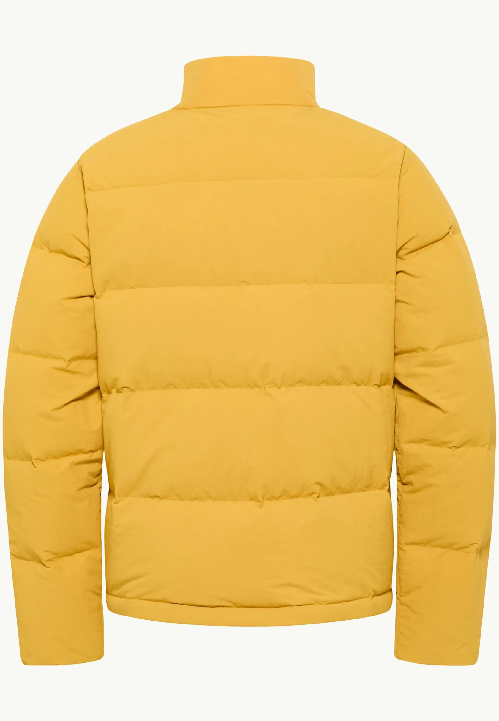 Voor- En Najaarsjacks/-Jassen|Winterjacks|Jack Wolfskin Nordlicht Jkt M Rds