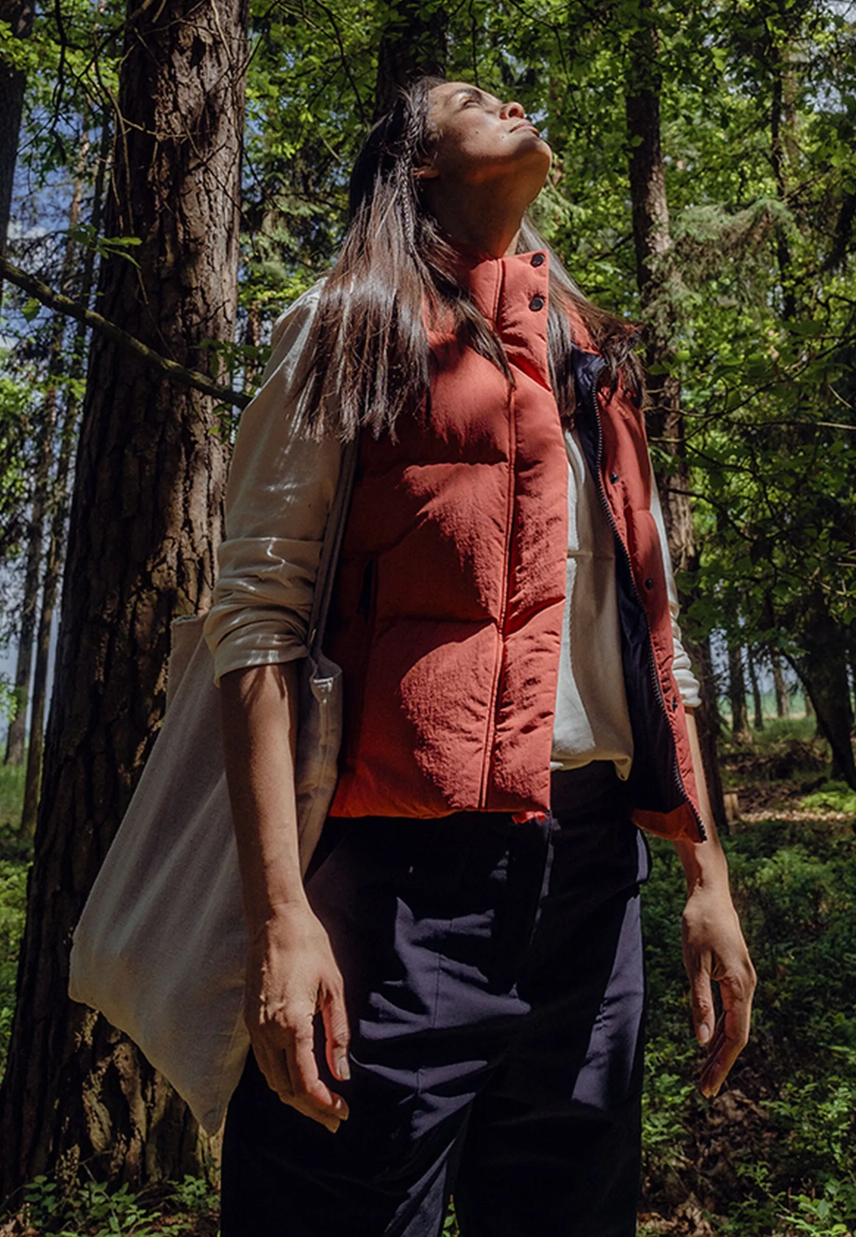 Voor- En Najaarsjacks/-Jassen|Winterjacks|Jack Wolfskin Nordlicht Jkt M Rds