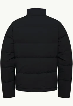 Voor- En Najaarsjacks/-Jassen|Winterjacks|Jack Wolfskin Nordlicht Jkt M Rds