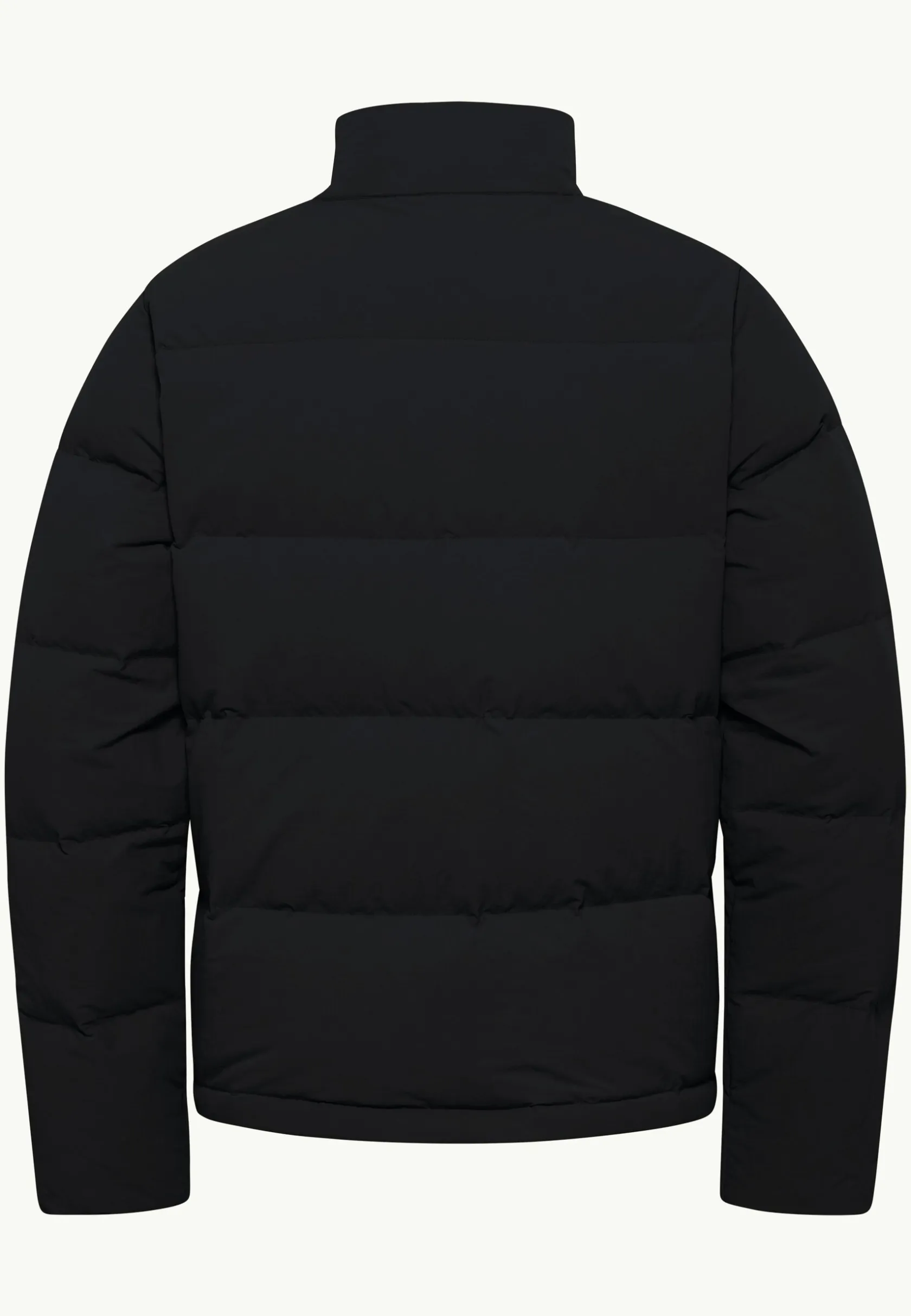 Voor- En Najaarsjacks/-Jassen|Winterjacks|Jack Wolfskin Nordlicht Jkt M Rds