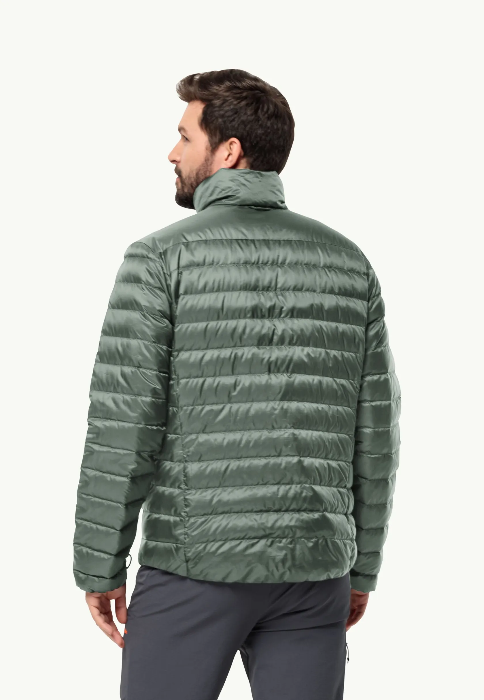 Wandelen|Voor- En Najaarsjacks/-Jassen|Jack Wolfskin Pilvi Down Jkt M Rds