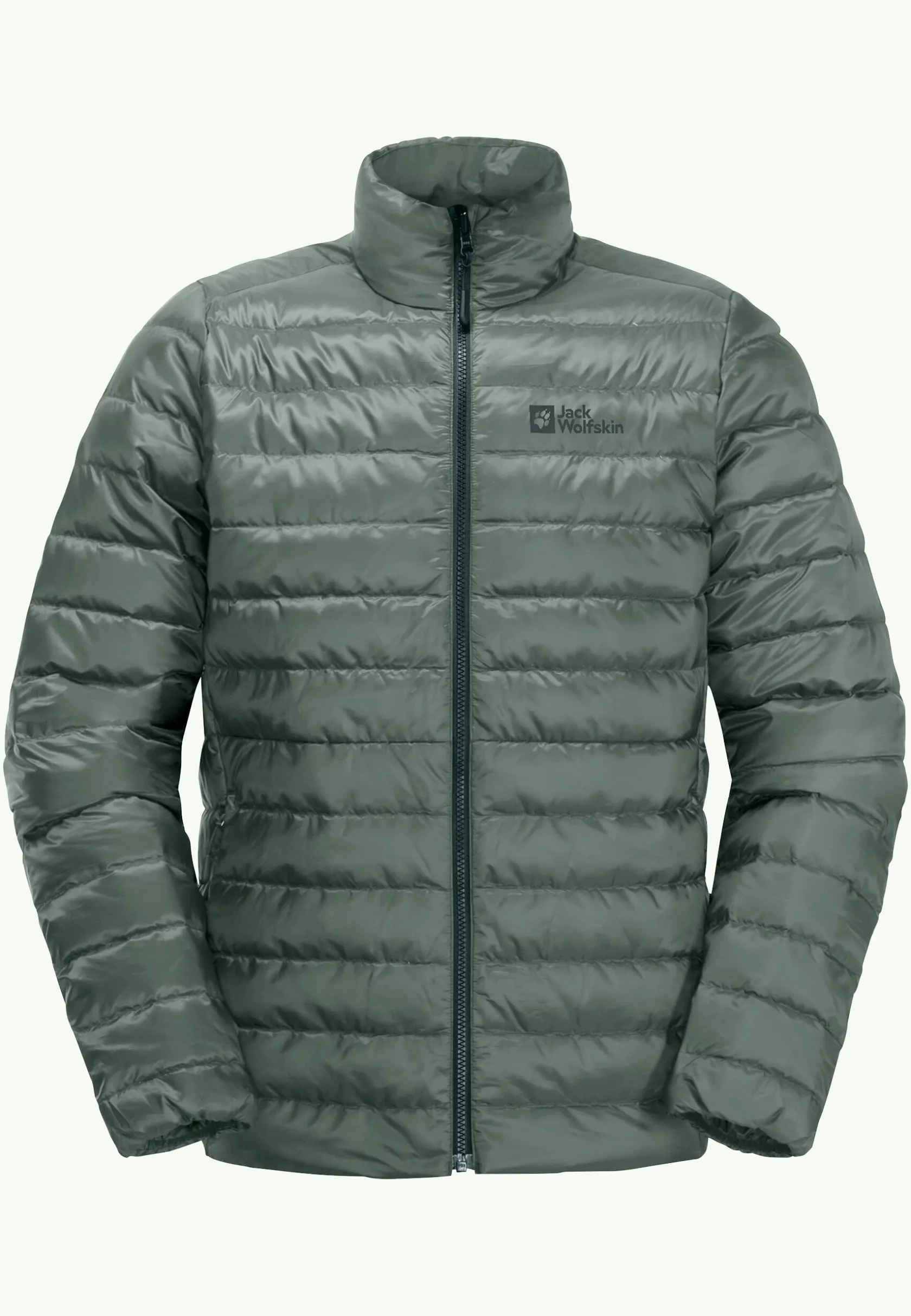 Wandelen|Voor- En Najaarsjacks/-Jassen|Jack Wolfskin Pilvi Down Jkt M Rds