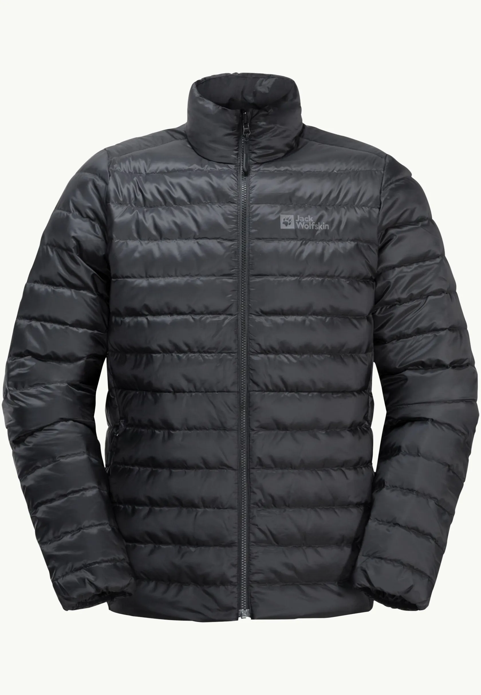Wandelen|Voor- En Najaarsjacks/-Jassen|Jack Wolfskin Pilvi Down Jkt M Rds