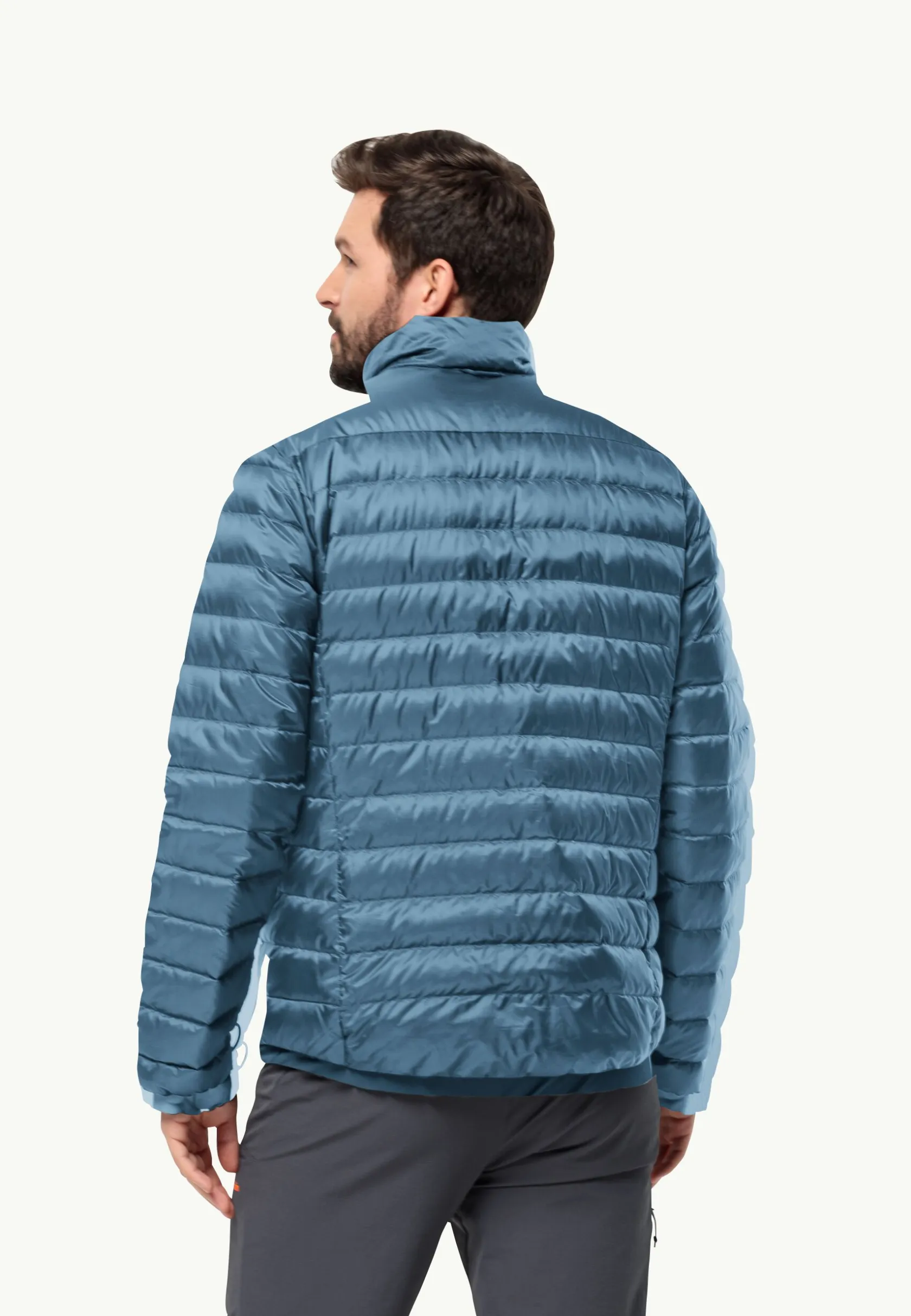 Wandelen|Voor- En Najaarsjacks/-Jassen|Jack Wolfskin Pilvi Down Jkt M Rds
