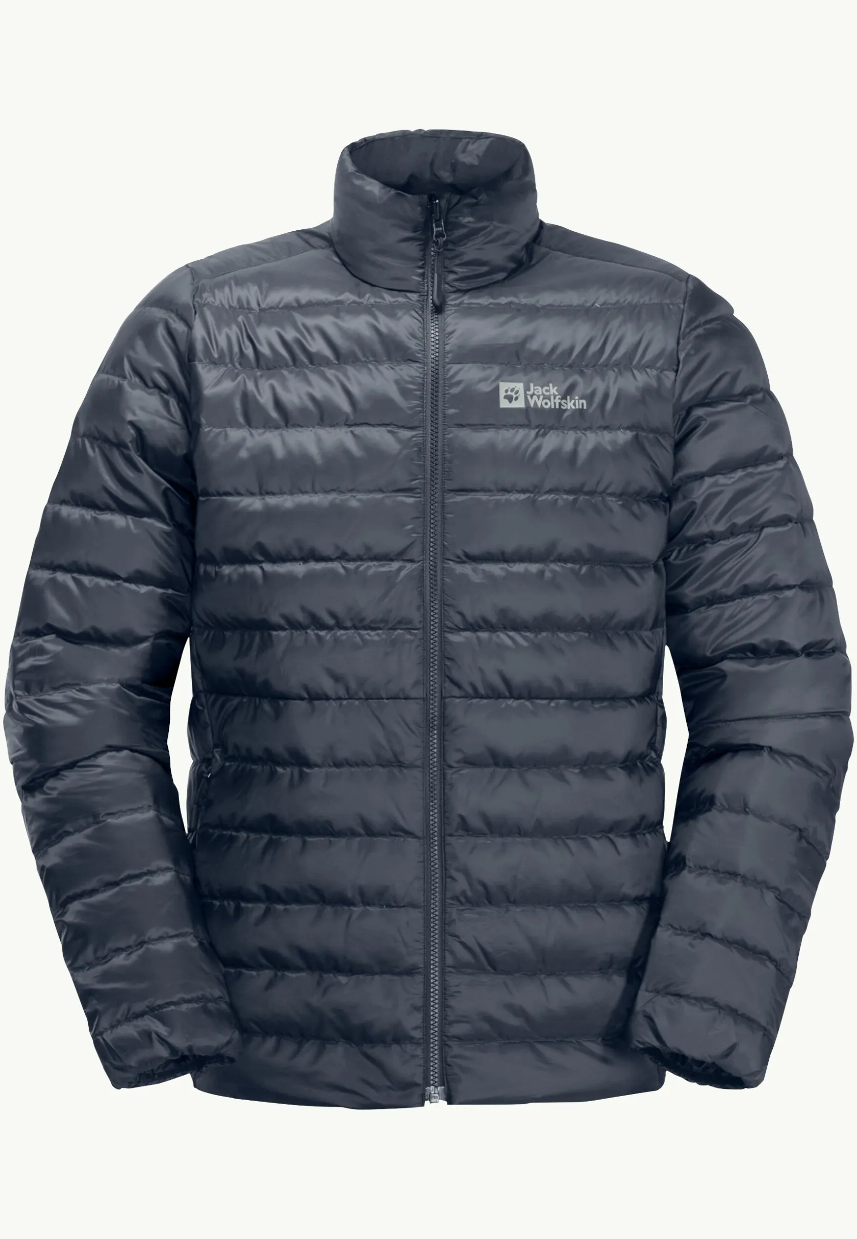 Wandelen|Voor- En Najaarsjacks/-Jassen|Jack Wolfskin Pilvi Down Jkt M Rds