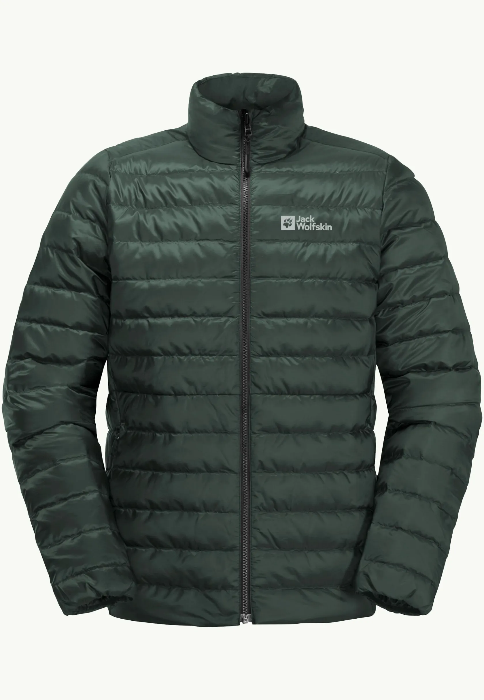 Wandelen|Voor- En Najaarsjacks/-Jassen|Jack Wolfskin Pilvi Down Jkt M Rds