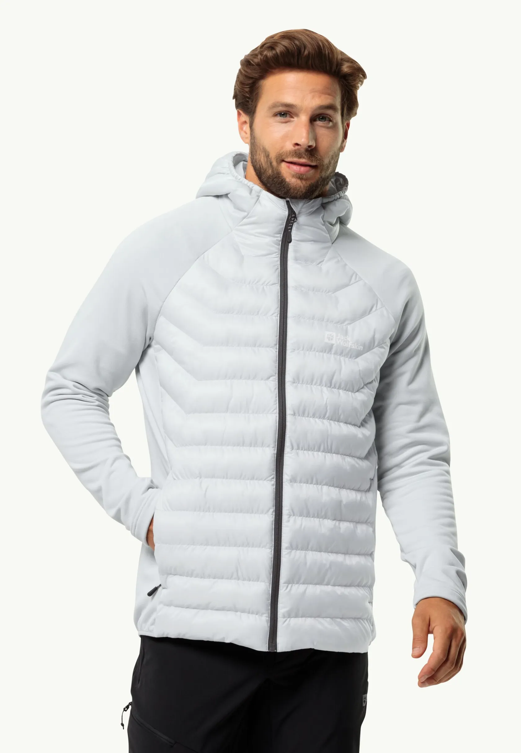 Wandelen|Voor- En Najaarsjacks/-Jassen|Jack Wolfskin Routeburn Pro Hybrid M