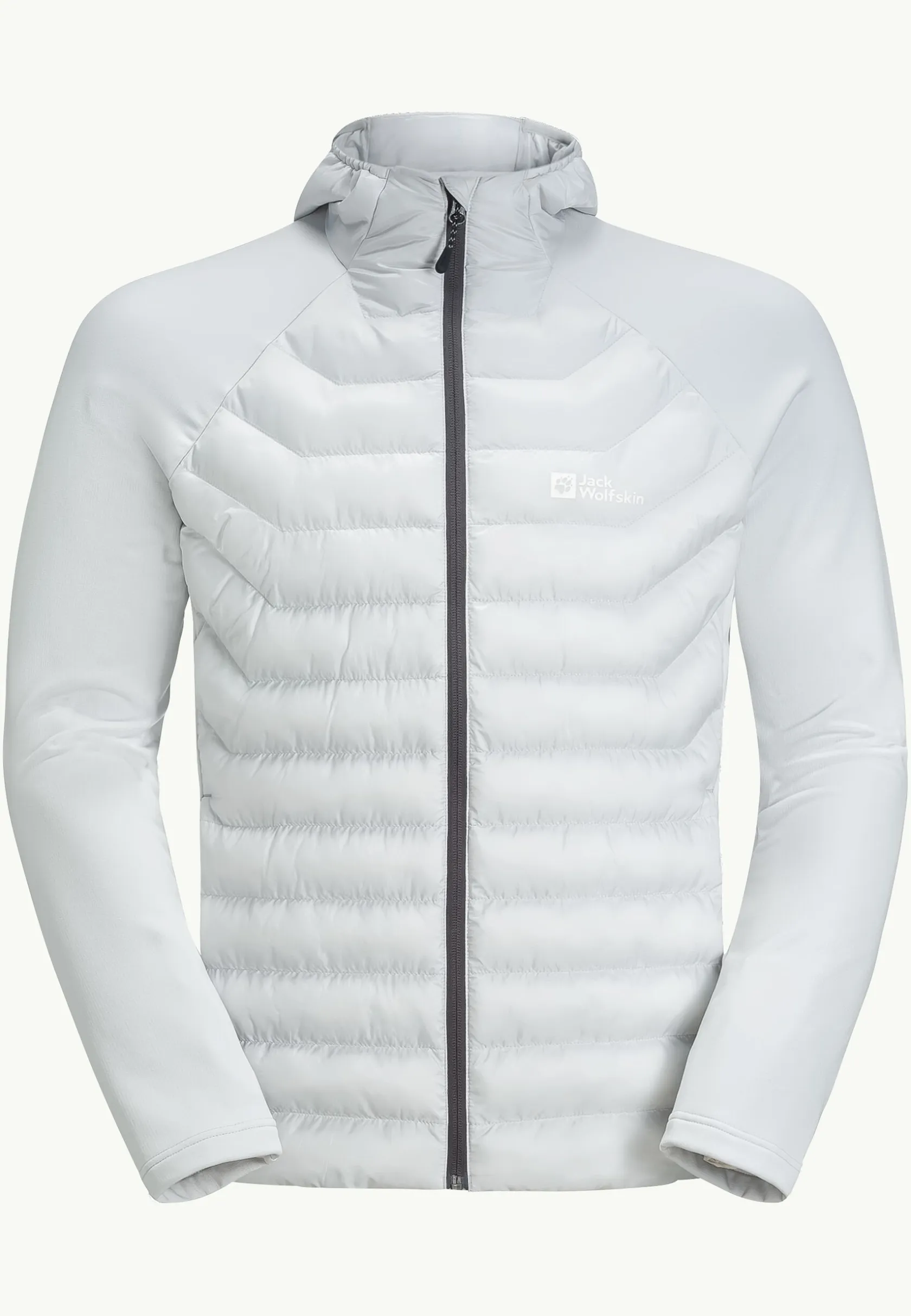 Wandelen|Voor- En Najaarsjacks/-Jassen|Jack Wolfskin Routeburn Pro Hybrid M