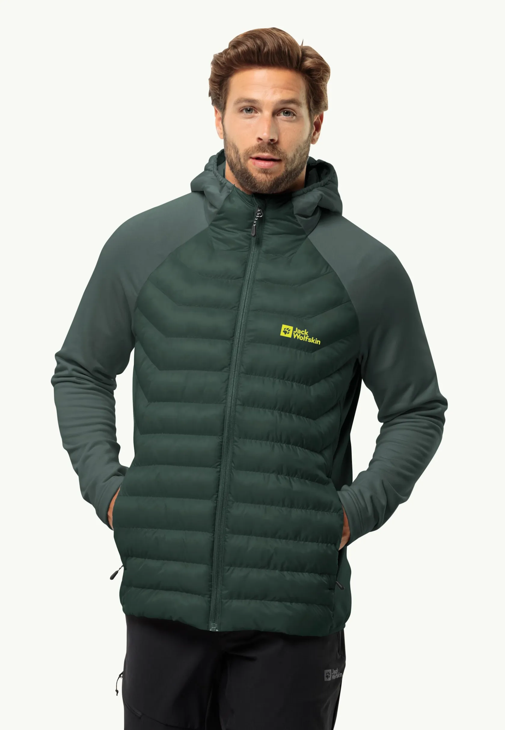 Wandelen|Voor- En Najaarsjacks/-Jassen|Jack Wolfskin Routeburn Pro Hybrid M
