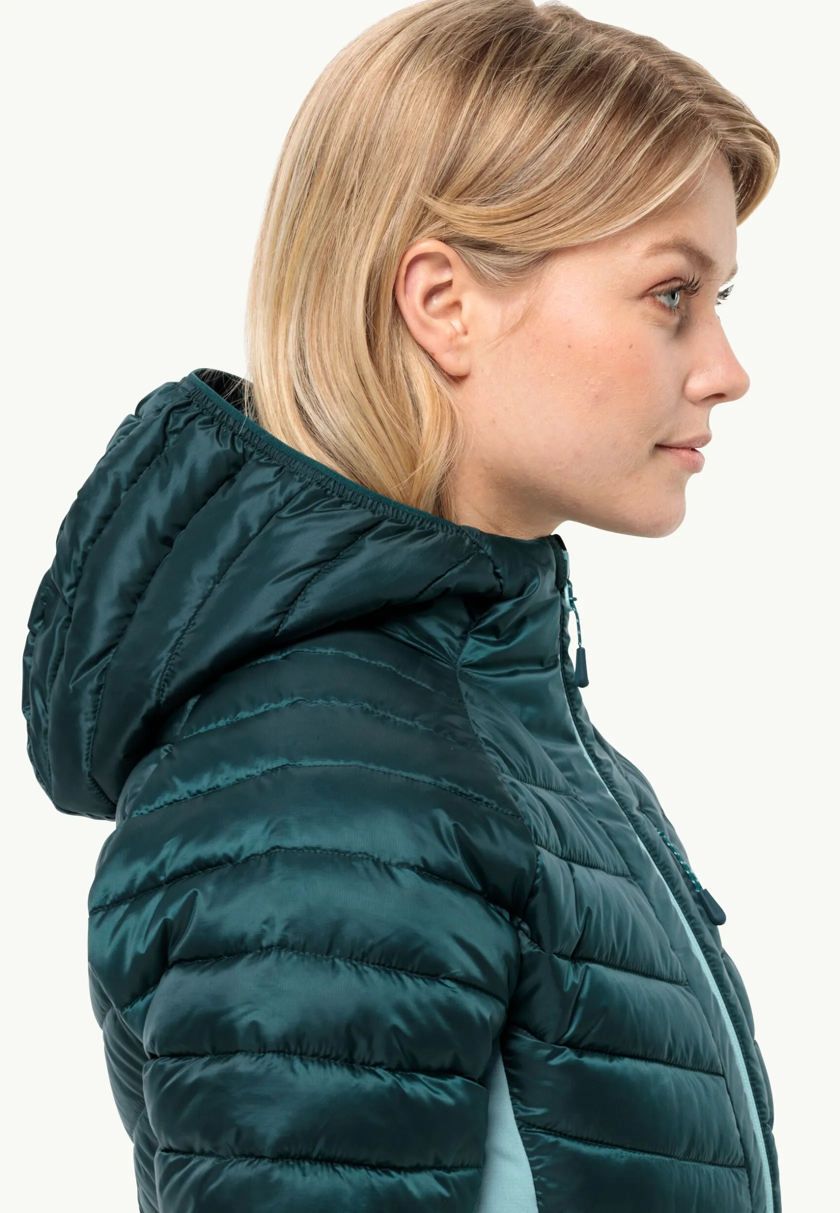 Wandelen|Voor- En Najaarsjacks/-Jassen|Jack Wolfskin Routeburn Pro Ins Jkt W