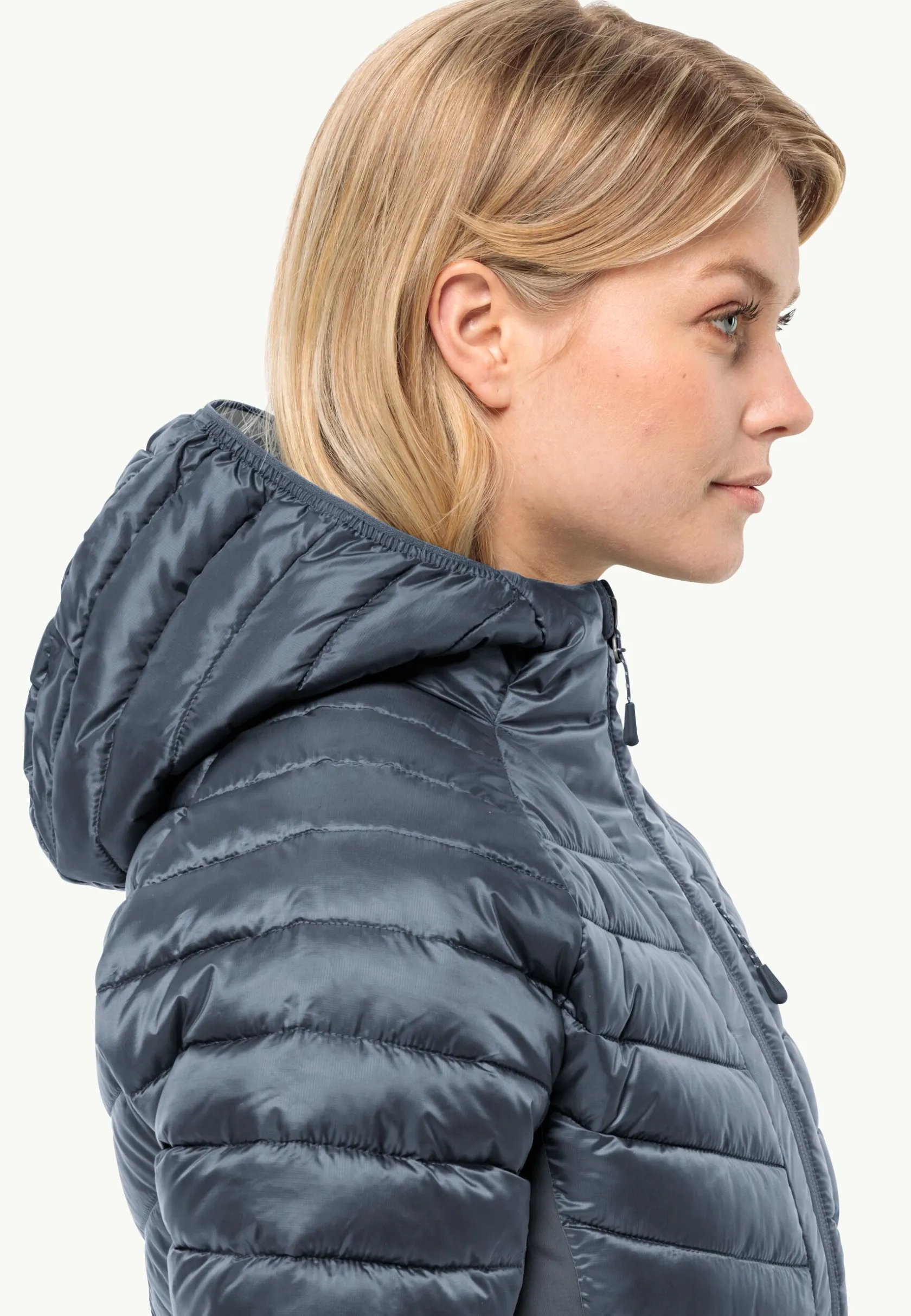 Wandelen|Voor- En Najaarsjacks/-Jassen|Jack Wolfskin Routeburn Pro Ins Jkt W