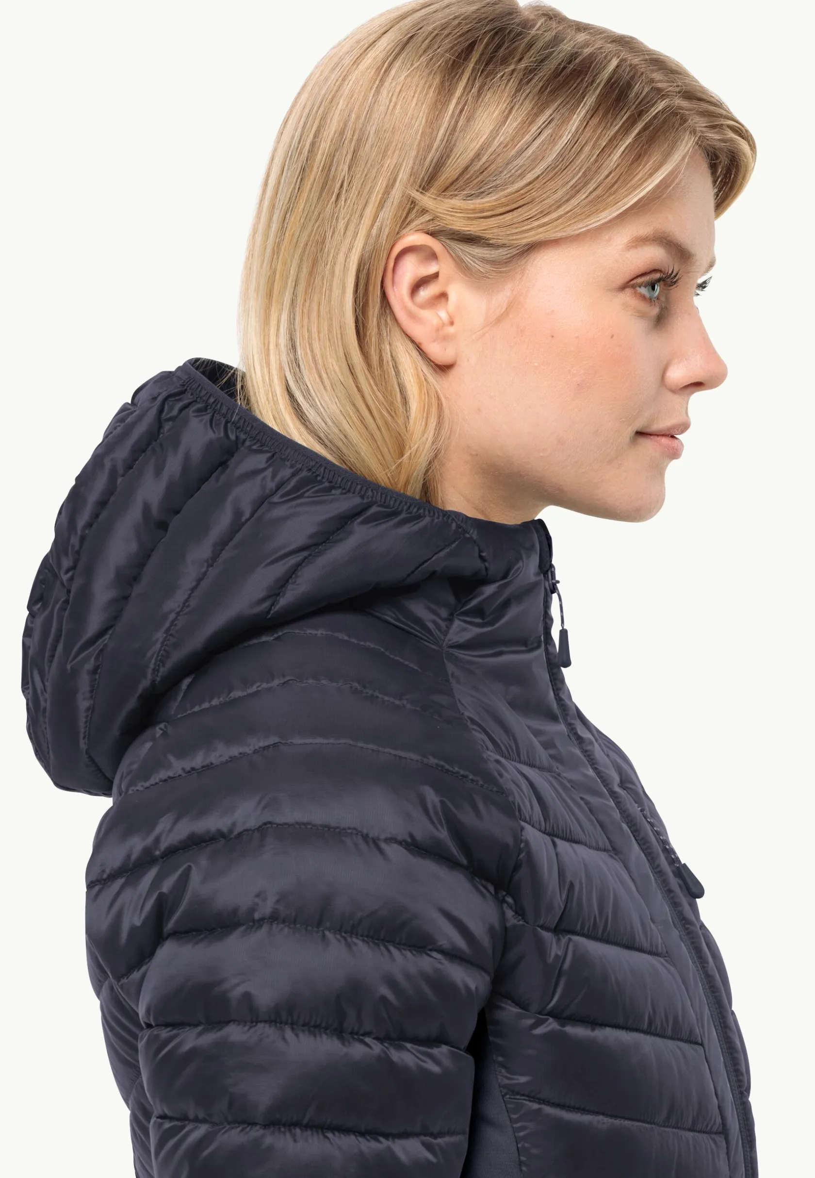 Wandelen|Voor- En Najaarsjacks/-Jassen|Jack Wolfskin Routeburn Pro Ins Jkt W