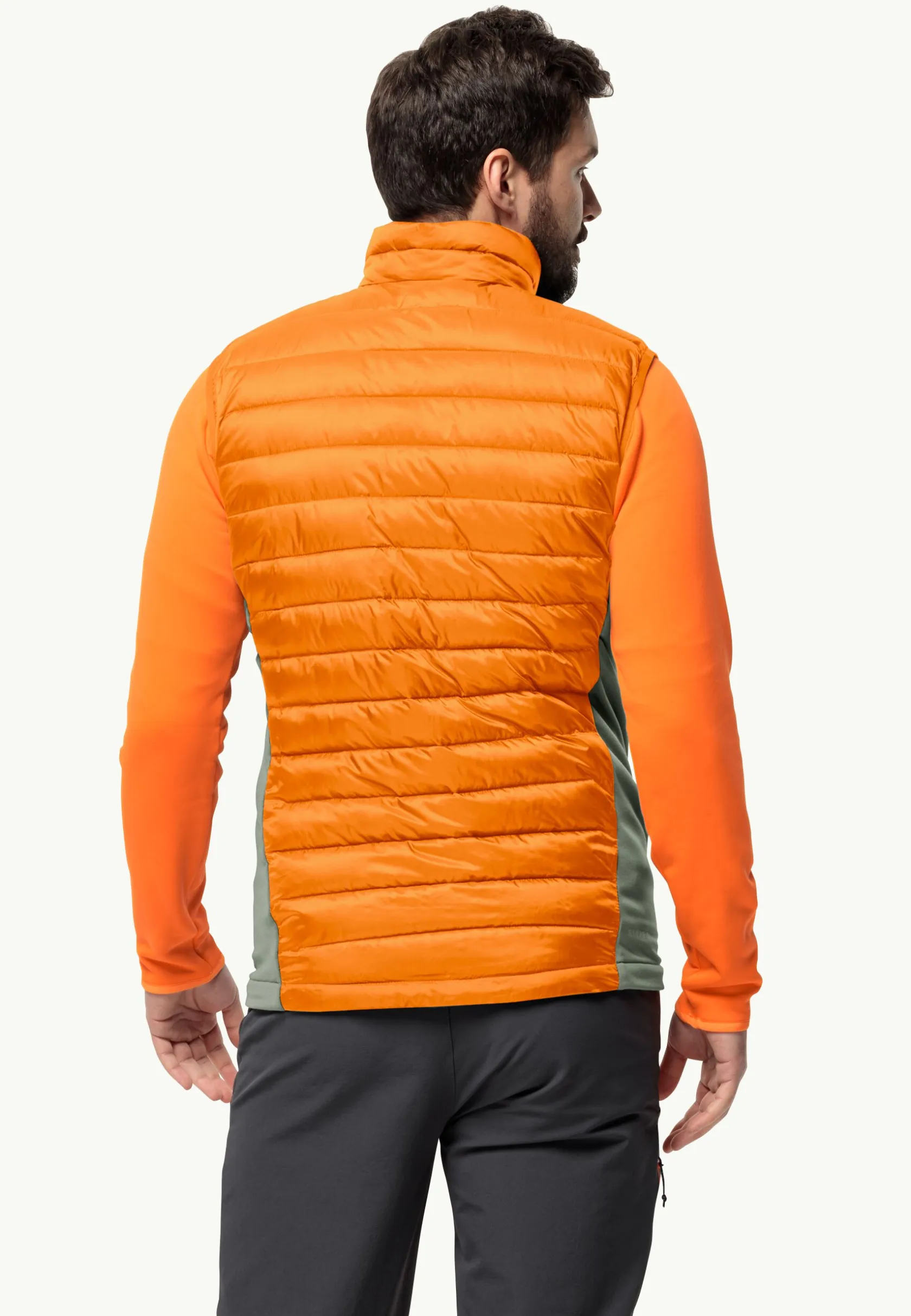 Wandelen|Voor- En Najaarsjacks/-Jassen|Jack Wolfskin Routeburn Pro Ins Vest M