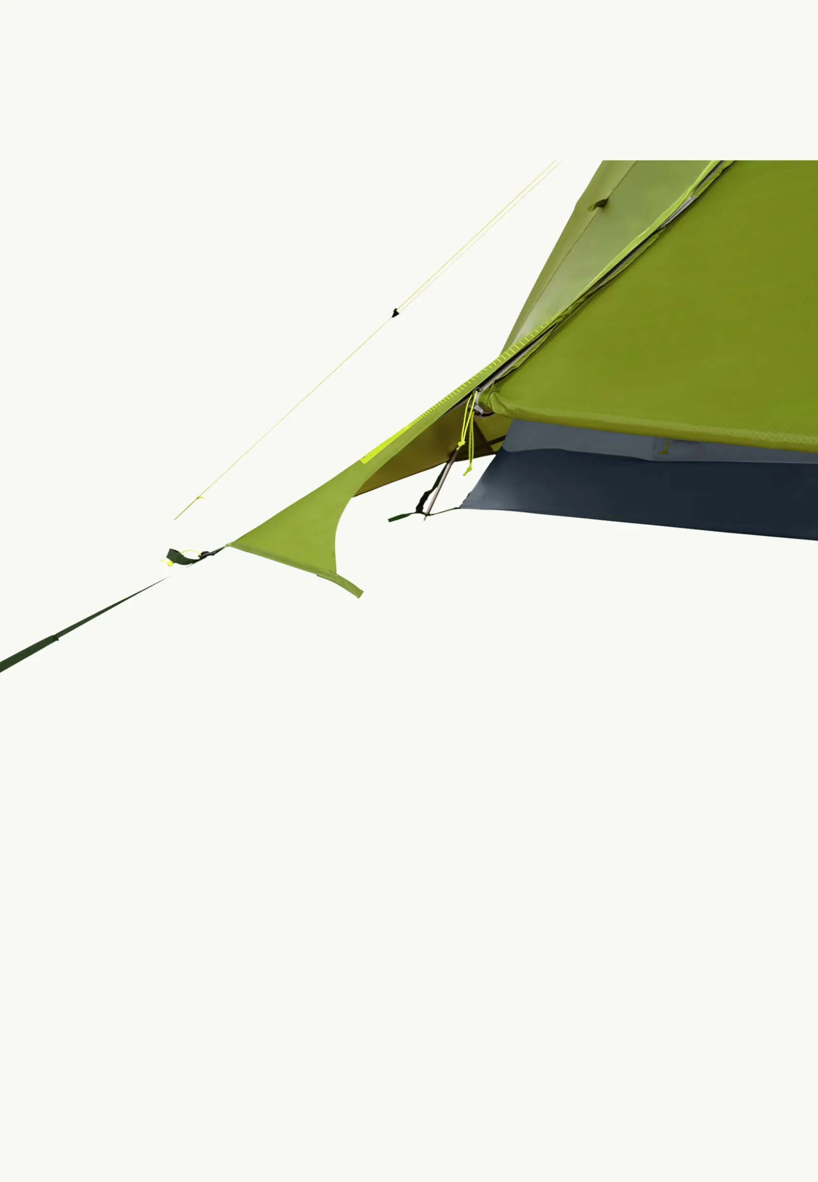 Tenten|Trekking|Jack Wolfskin Skyrocket III Dome ginkgo green