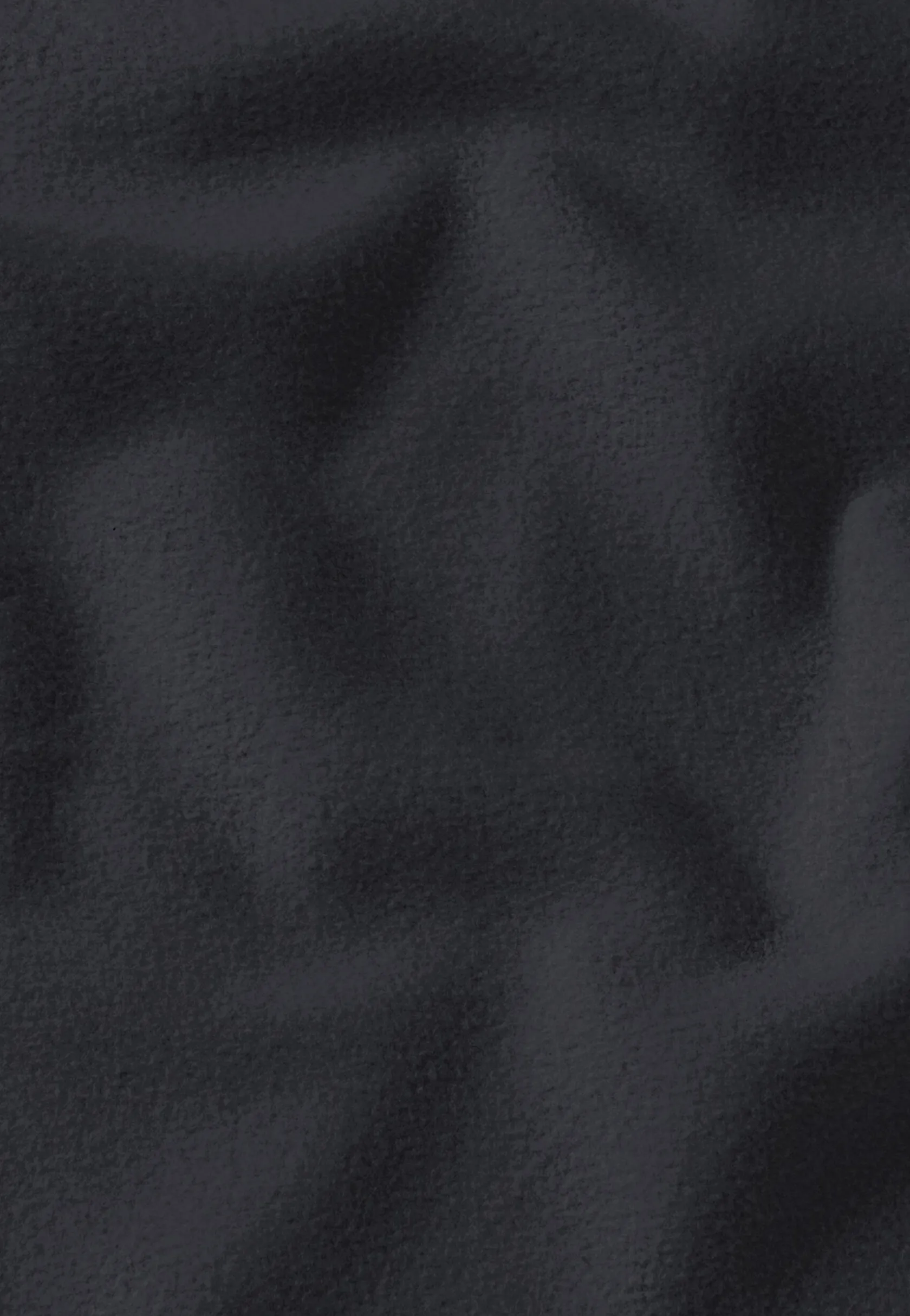 Lifestyle|Voor- En Najaarsjacks/-Jassen|Jack Wolfskin Tannenspur Hooded Jkt M