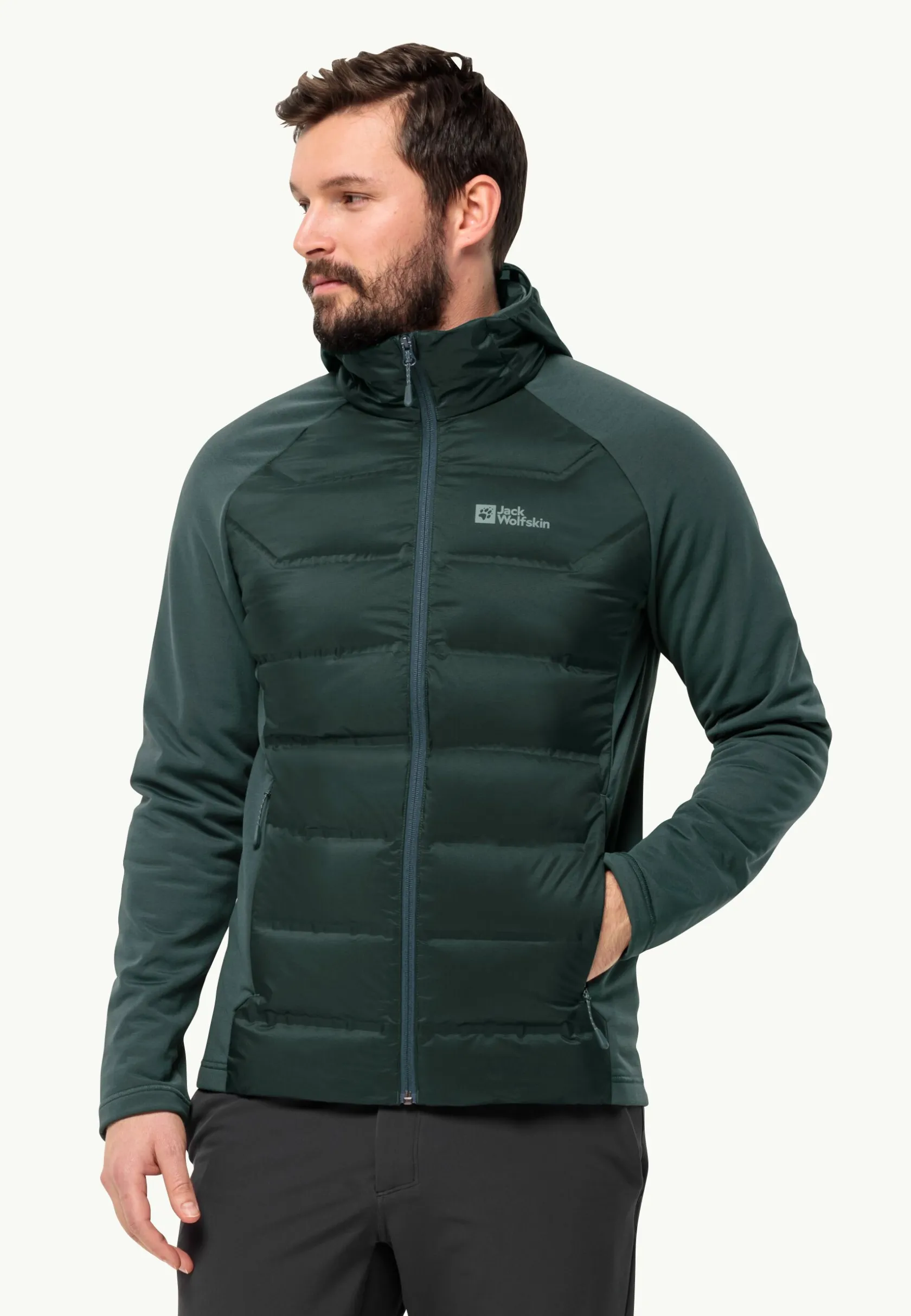 Wandelen|Voor- En Najaarsjacks/-Jassen|Jack Wolfskin Tasman Down Hybrid M