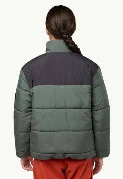 Voor- En Najaarsjacks/-Jassen|Winterjacks|Jack Wolfskin Teen Ins Jacket Y