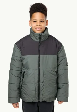 Voor- En Najaarsjacks/-Jassen|Winterjacks|Jack Wolfskin Teen Ins Jacket Y