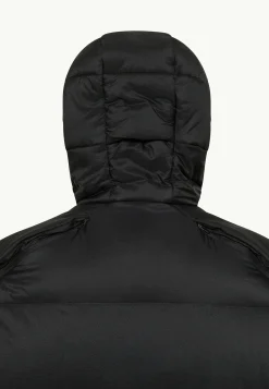 Voor- En Najaarsjacks/-Jassen|Winterjacks|Jack Wolfskin Wandermood Down Parka M Rds