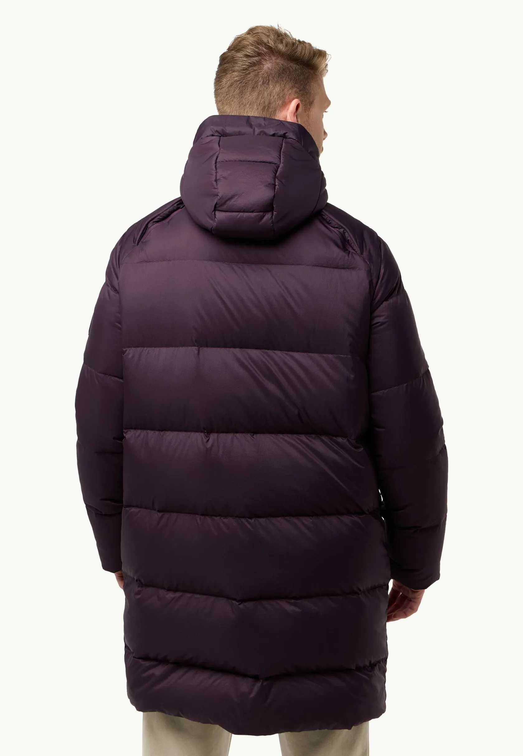 Voor- En Najaarsjacks/-Jassen|Winterjacks|Jack Wolfskin Wandermood Down Parka M Rds
