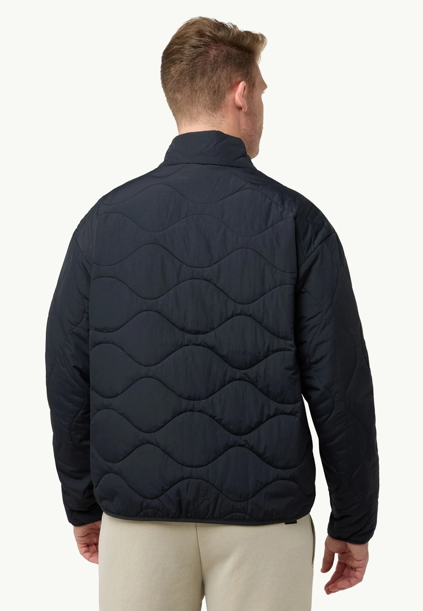 Voor- En Najaarsjacks/-Jassen|Winterjacks|Jack Wolfskin Wandersome Ins Jkt M