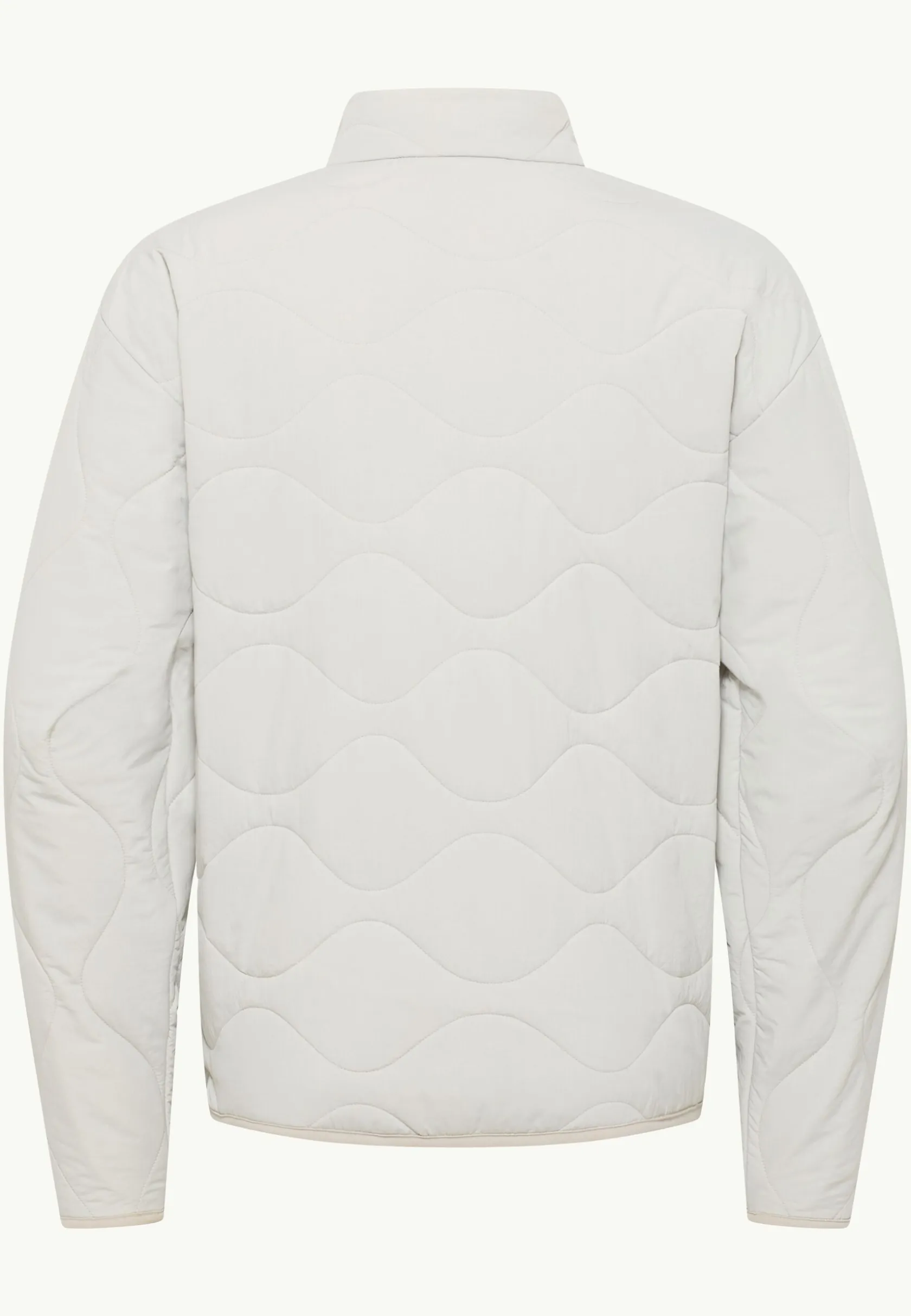 Voor- En Najaarsjacks/-Jassen|Winterjacks|Jack Wolfskin Wandersome Ins Jkt M