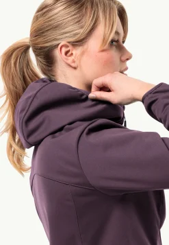 Lifestyle|Wandelen|Jack Wolfskin Windhain Hoody W